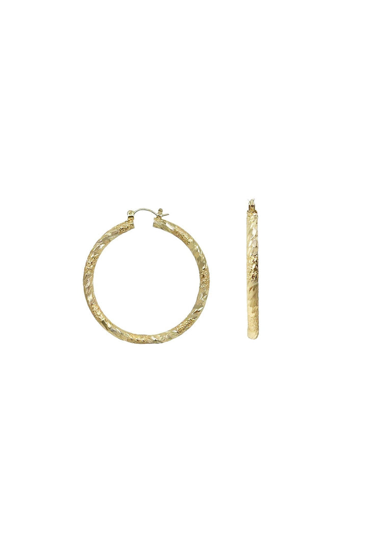 Brittany Hoop Earrings Gold Earrings