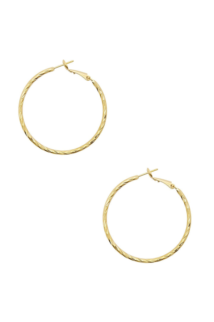 Emersyn Earrings Gold Hoop Earrings