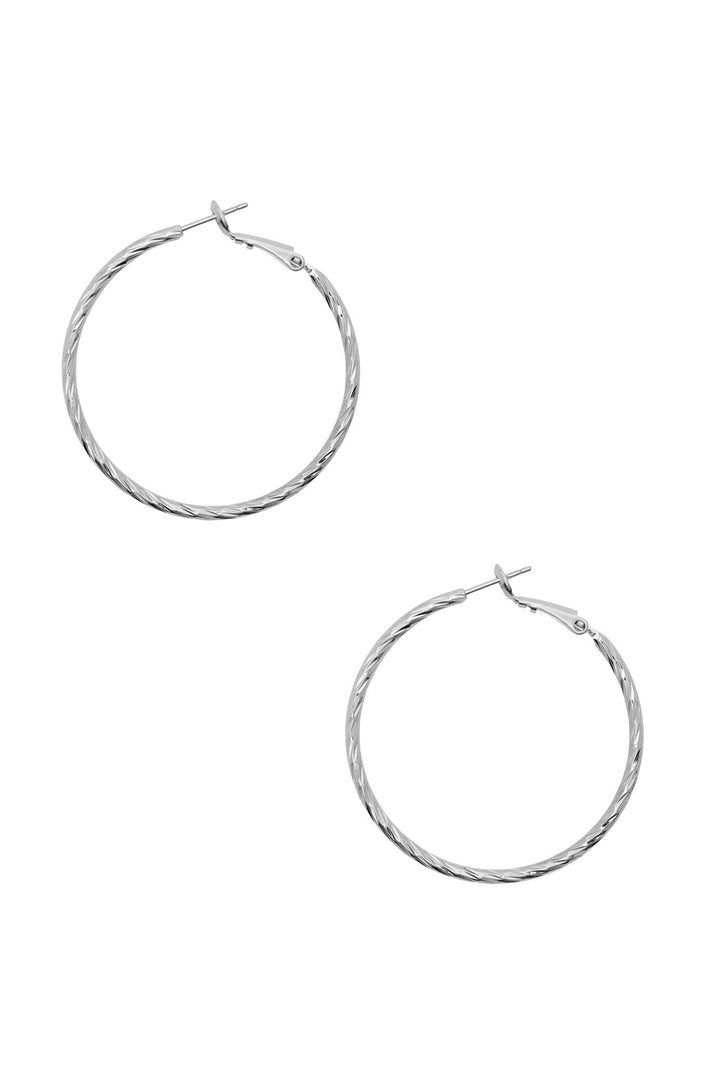 Emersyn Earrings Silver Hoop Earrings