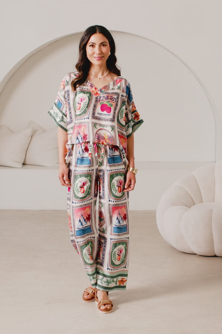 Bianca Short Sleeve Top V Neck Rio Print product video by Carolina